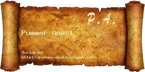 Pummer Anett névjegykártya
