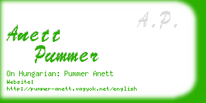 anett pummer business card